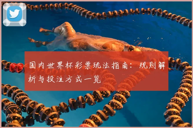 国内世界杯彩票玩法指南：规则解析与投注方式一览