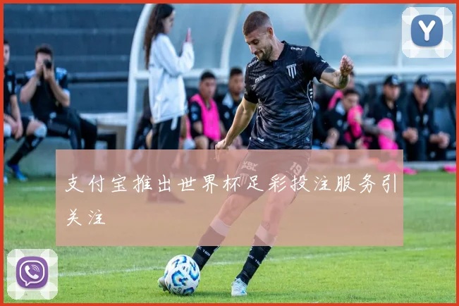 支付宝推出世界杯足彩投注服务引关注